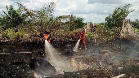 Belasan Hektare Lahan di Bengkalis Terbakar 